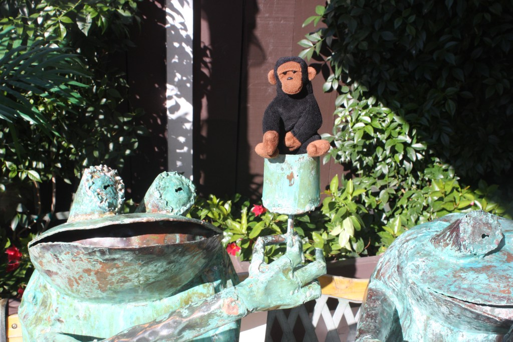 Cheap and Fun Things To Do In San Diego