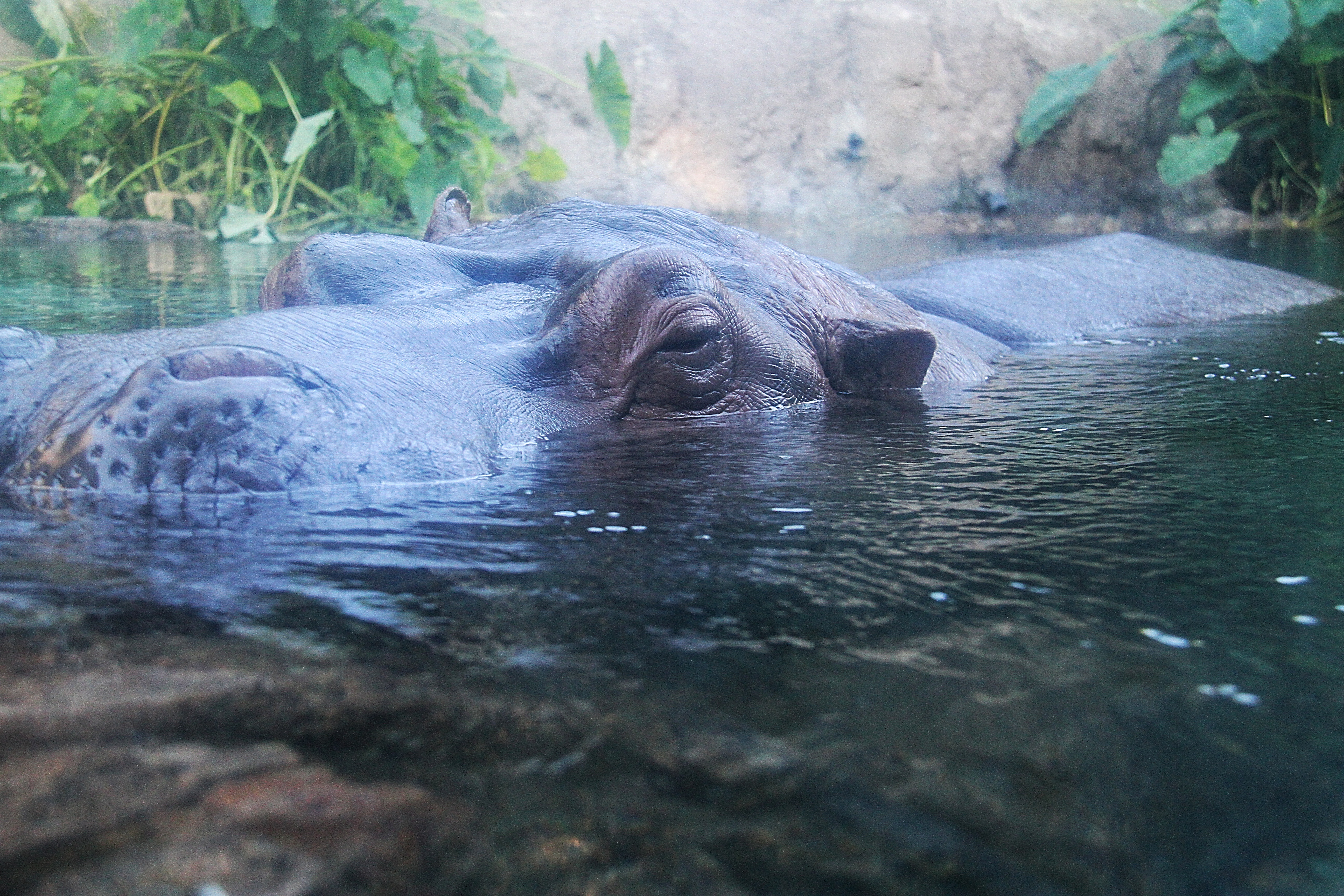 Weekly Photo Challenge: Surprise