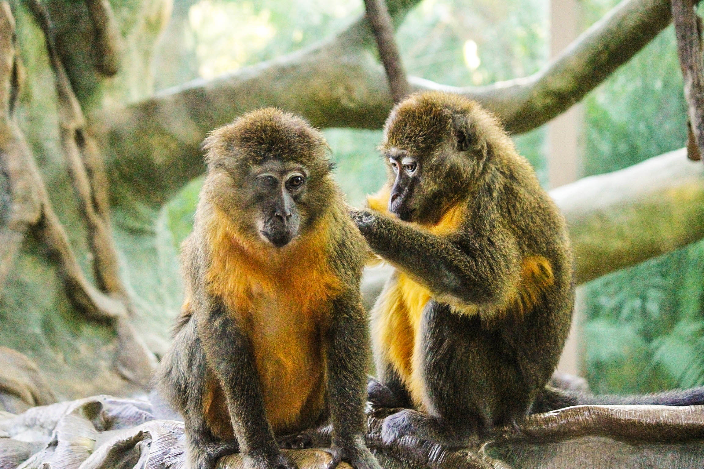 Weekly Photo Challenge: Companionable