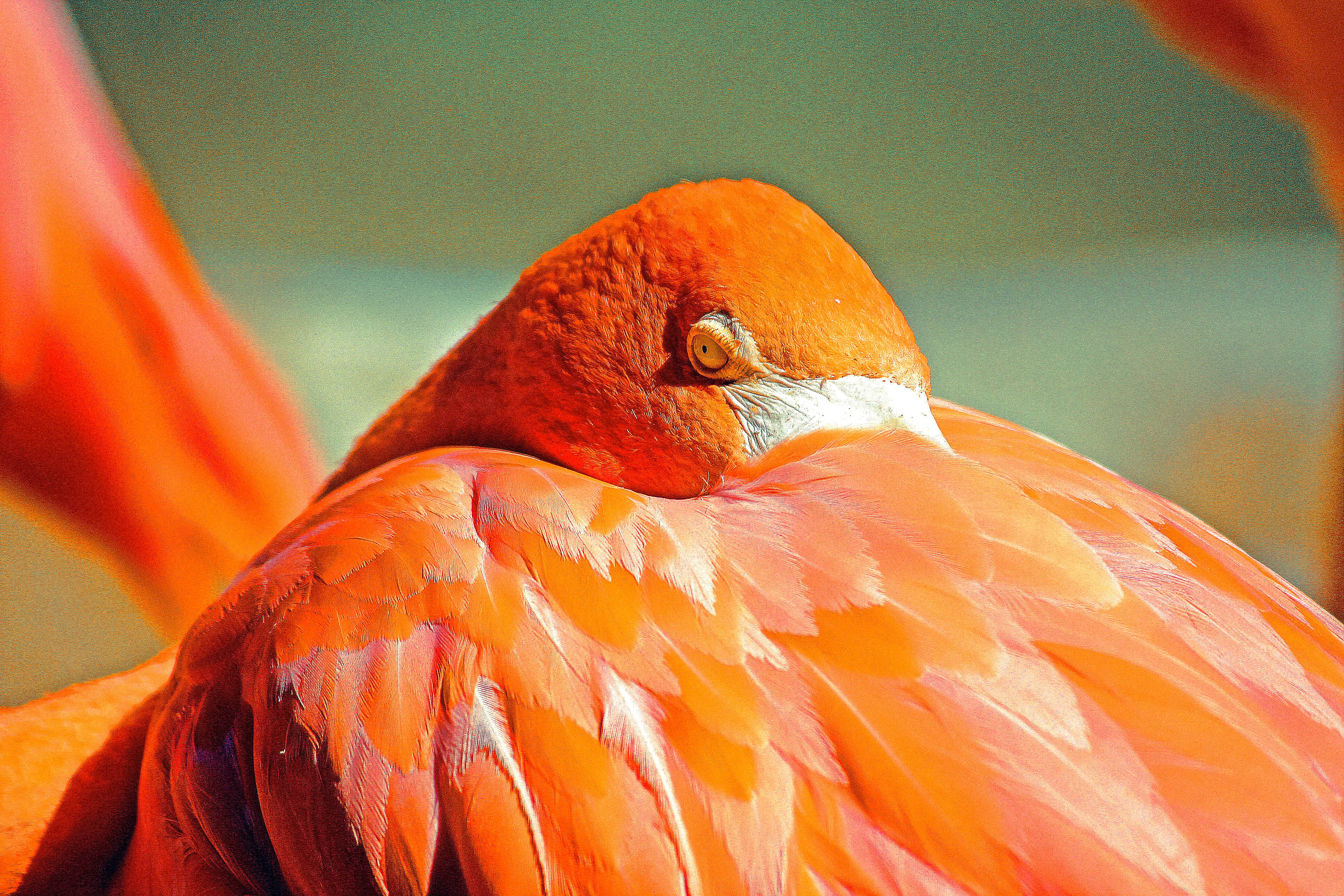 Weekly Photo Challenge: The World Through Your Eyes