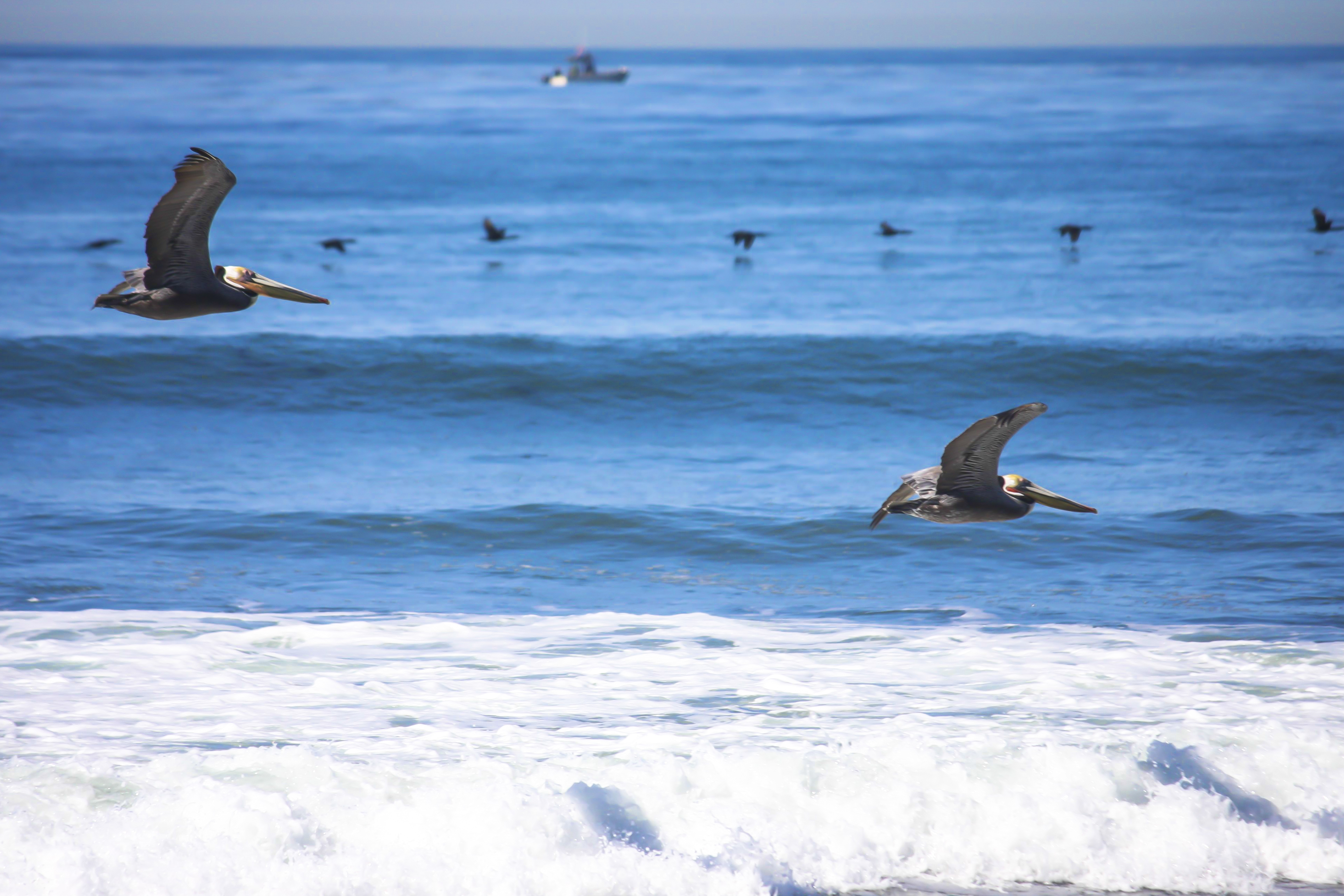 Weekly Photo Challenge: Sea