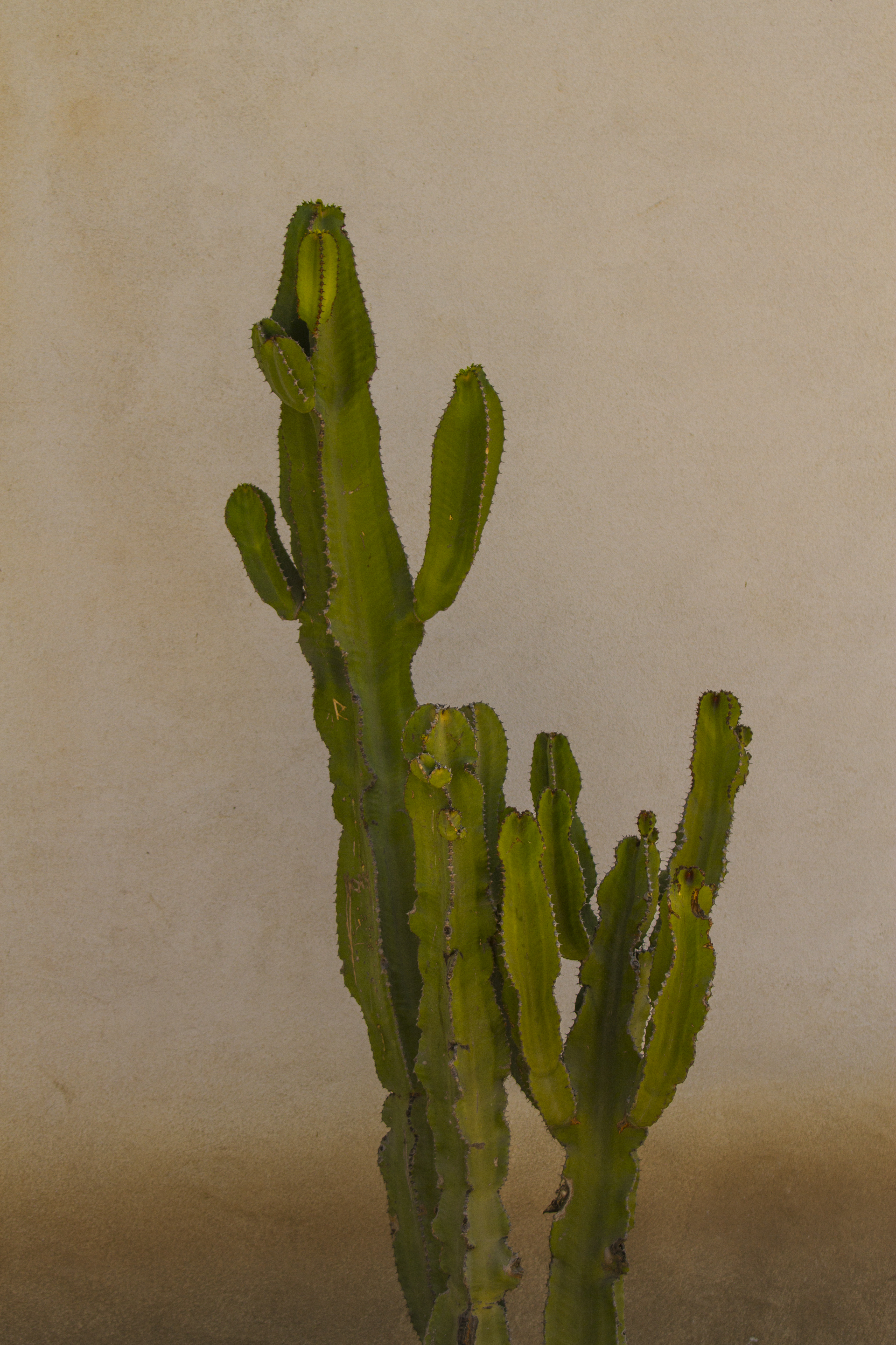 Weekly Photo Challenge: One Shot, Two Ways — Part II