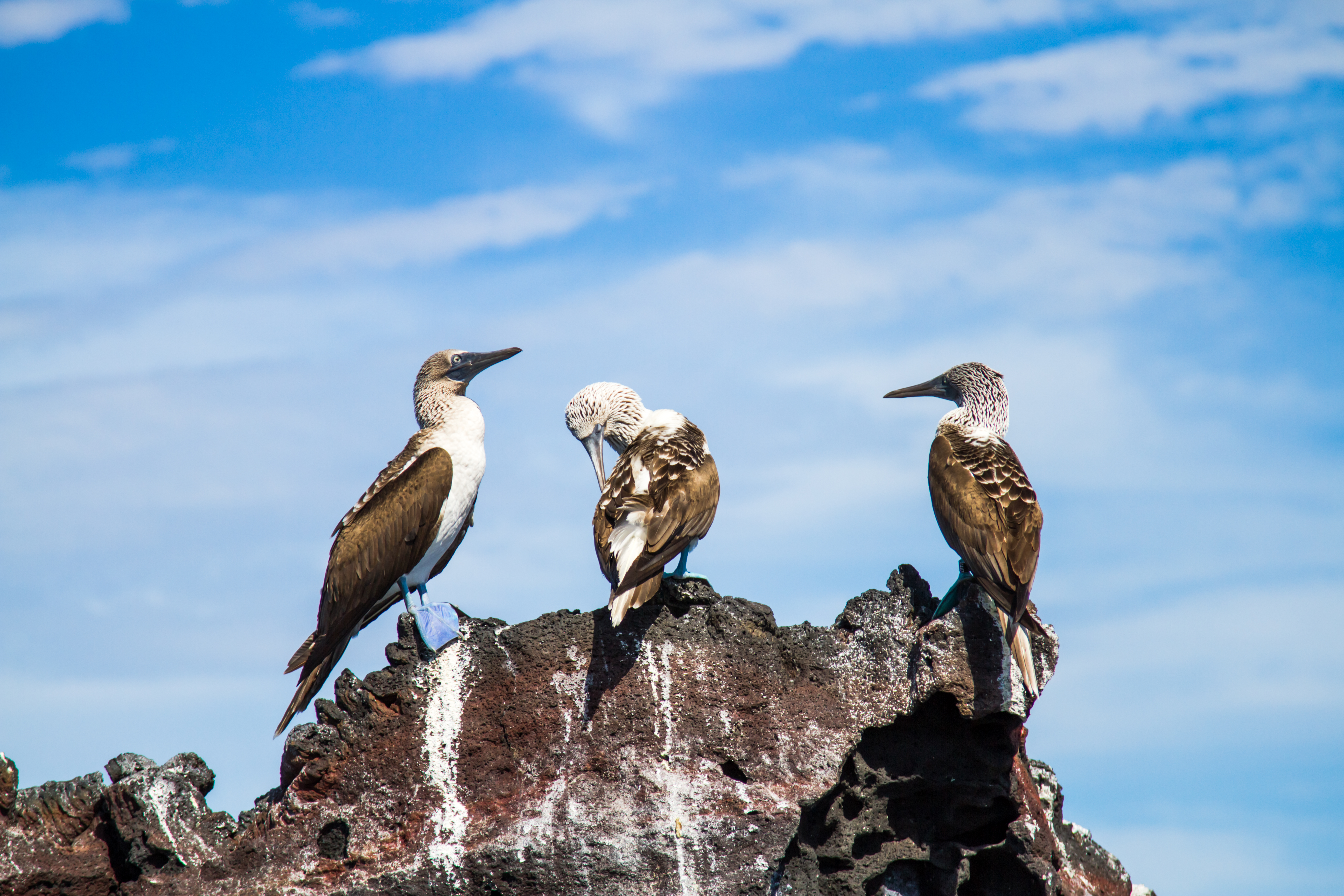 Weekly Photo Challenge: Between